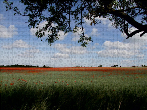 Mohnblumenfeld Kronsberg - CALVENDO Foto-Puzzle - calvendoverlag 29.99