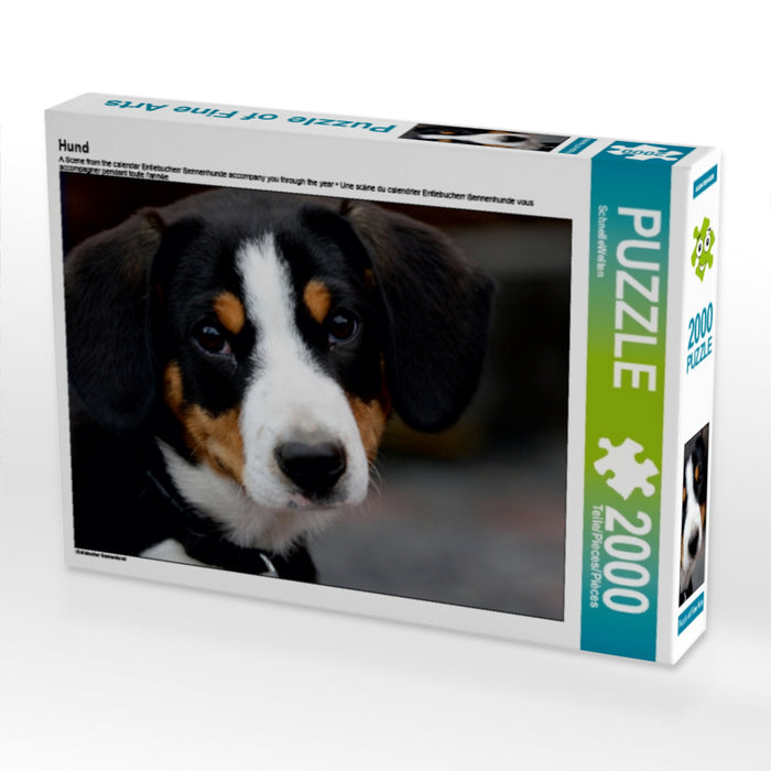 Hund - CALVENDO Foto-Puzzle - calvendoverlag 29.99