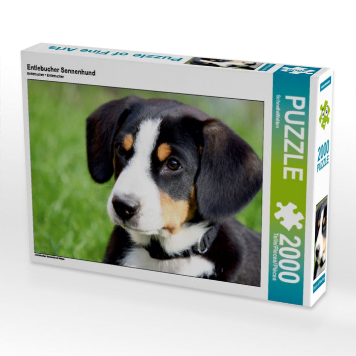 Entlebucher Sennenhund - CALVENDO Foto-Puzzle - calvendoverlag 29.99