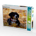 Entlebucher Sennenhund - CALVENDO Foto-Puzzle - calvendoverlag 29.99