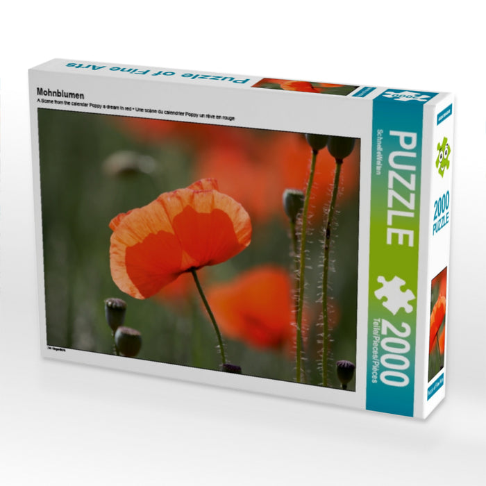 Mohnblumen - CALVENDO Foto-Puzzle - calvendoverlag 29.99