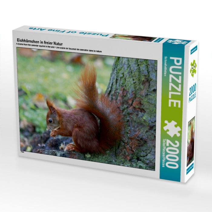 Eichhörnchen in freier Natur - CALVENDO Foto-Puzzle - calvendoverlag 29.99