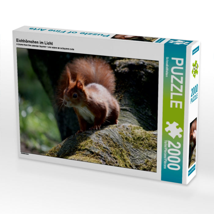 Eichhörnchen im Licht - CALVENDO Foto-Puzzle - calvendoverlag 29.99