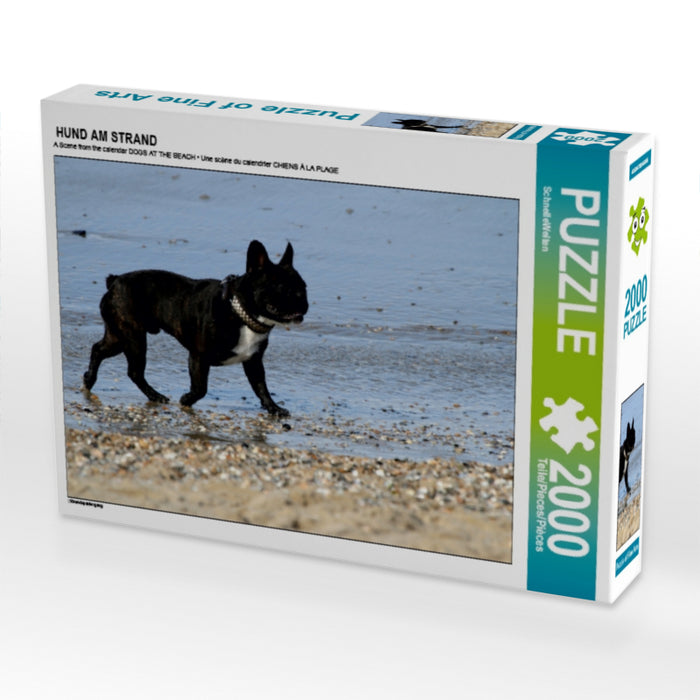 HUND AM STRAND - CALVENDO Foto-Puzzle - calvendoverlag 29.99