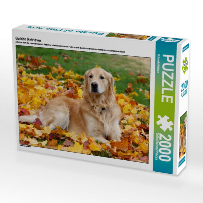 Golden Retriever - CALVENDO Foto-Puzzle - calvendoverlag 29.99