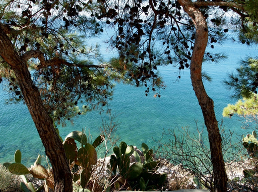 Am Meer - CALVENDO Foto-Puzzle - calvendoverlag 39.99