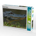 Missisippi Alligator - CALVENDO Foto-Puzzle - calvendoverlag 39.99