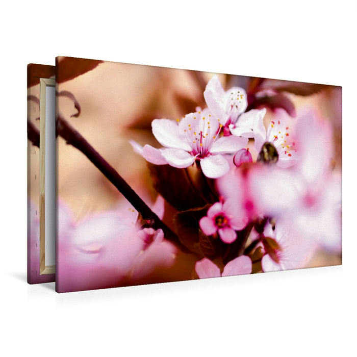 Toile textile premium Toile textile premium 120 cm x 80 cm paysage fleurs de cerisier 