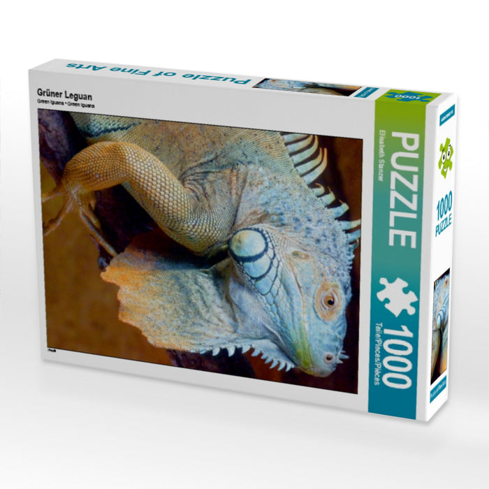 Grüner Leguan - CALVENDO Foto-Puzzle - calvendoverlag 29.99