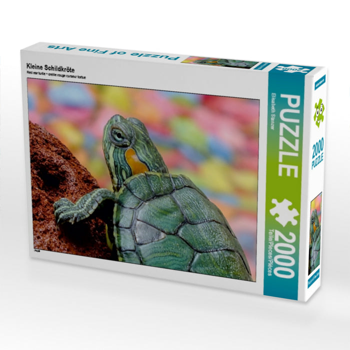 Kleine Schildkröte - CALVENDO Foto-Puzzle - calvendoverlag 29.99