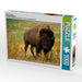 Wisent & Bison - CALVENDO Foto-Puzzle - calvendoverlag 29.99