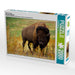 Wisent & Bison - CALVENDO Foto-Puzzle - calvendoverlag 29.99