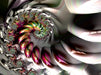 Opalescent Rainbow Spiral - CALVENDO Foto-Puzzle - calvendoverlag 29.99