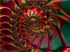 Red Flower Petal Spiral - CALVENDO Foto-Puzzle - calvendoverlag 29.99