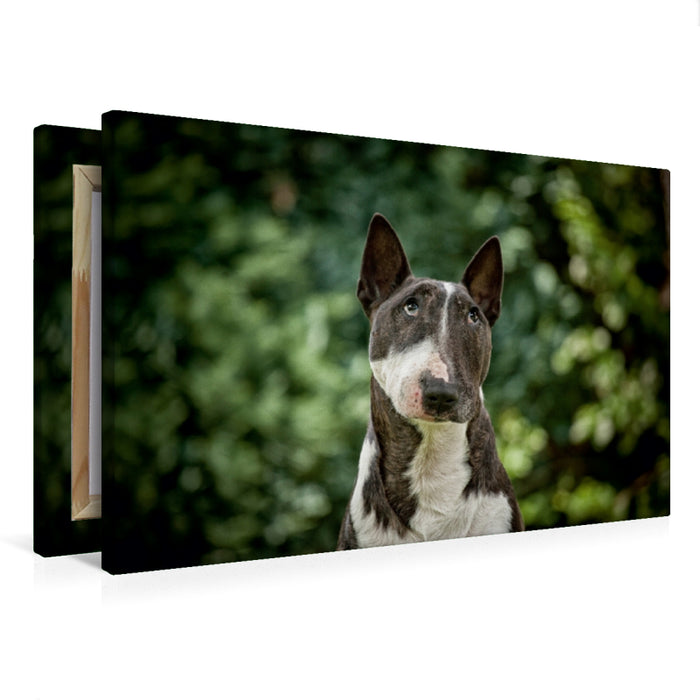 Toile textile haut de gamme Toile textile haut de gamme 75 cm x 50 cm de diamètre Un motif du calendrier Bull Terrier 