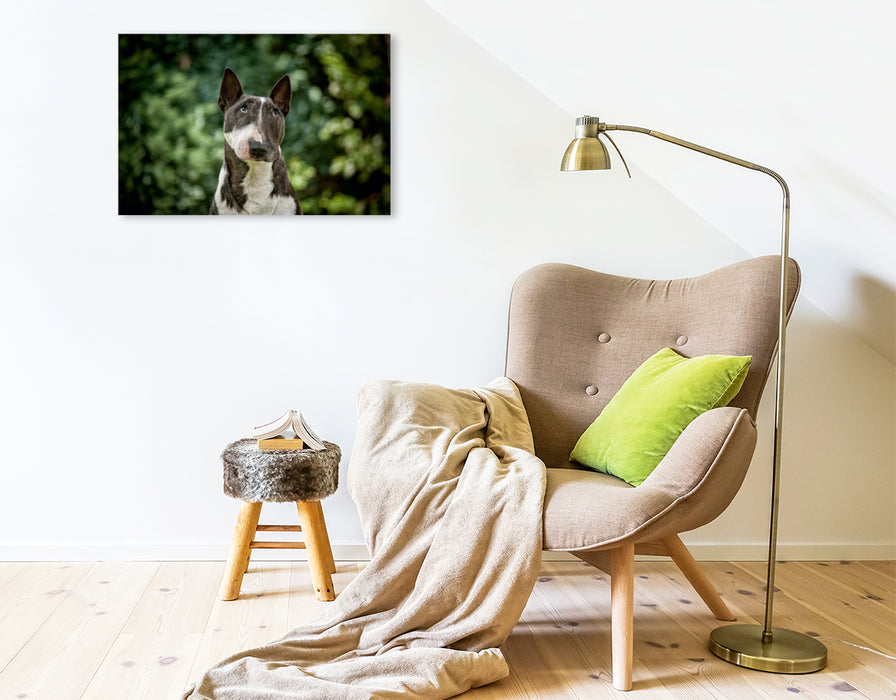 Premium Textil-Leinwand Premium Textil-Leinwand 75 cm x 50 cm quer Ein Motiv aus dem Kalender Bullterrier