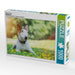 Bullterrier - CALVENDO Foto-Puzzle - calvendoverlag 29.99