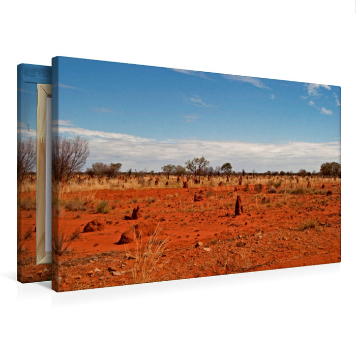 Toile textile haut de gamme Toile textile haut de gamme 75 cm x 50 cm à travers l'Australie occidentale : compagnons constants sur le Tanami Track - les termitières 