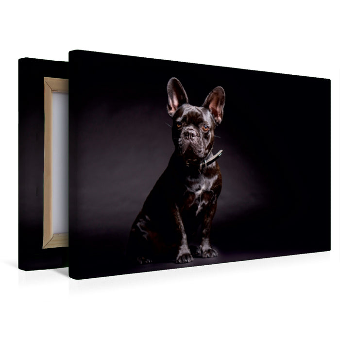 Premium Textil-Leinwand Premium Textil-Leinwand 45 cm x 30 cm quer Ein Motiv aus dem Kalender French Bulldog