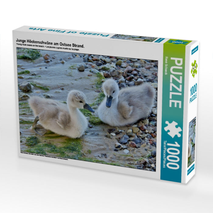 Junge Höckerschwäne am Ostsee Strand. - CALVENDO Foto-Puzzle - calvendoverlag 29.99