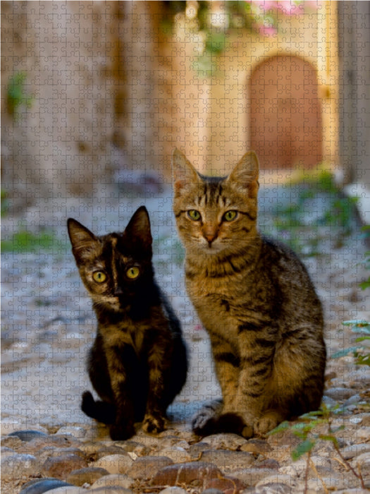 Katzenkinder in einer Altstadtgasse von Rhodos - CALVENDO Foto-Puzzle - calvendoverlag 29.99
