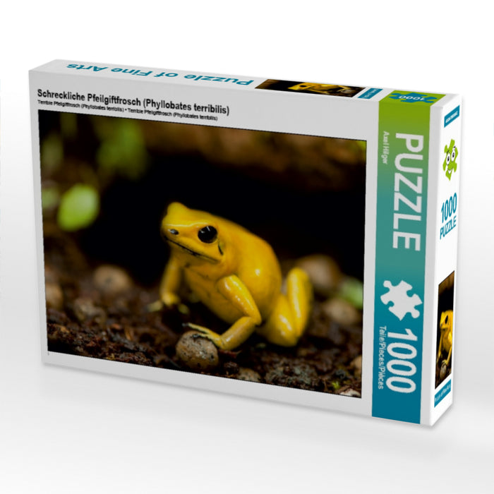 Schreckliche Pfeilgiftfrosch (Phyllobates terribilis) - CALVENDO Foto-Puzzle - calvendoverlag 29.99