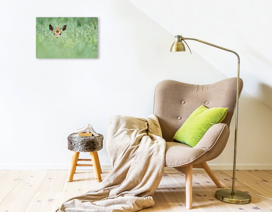 Premium Textil-Leinwand Premium Textil-Leinwand 45 cm x 30 cm quer Ein Motiv aus dem Kalender Wildlife Impressionen