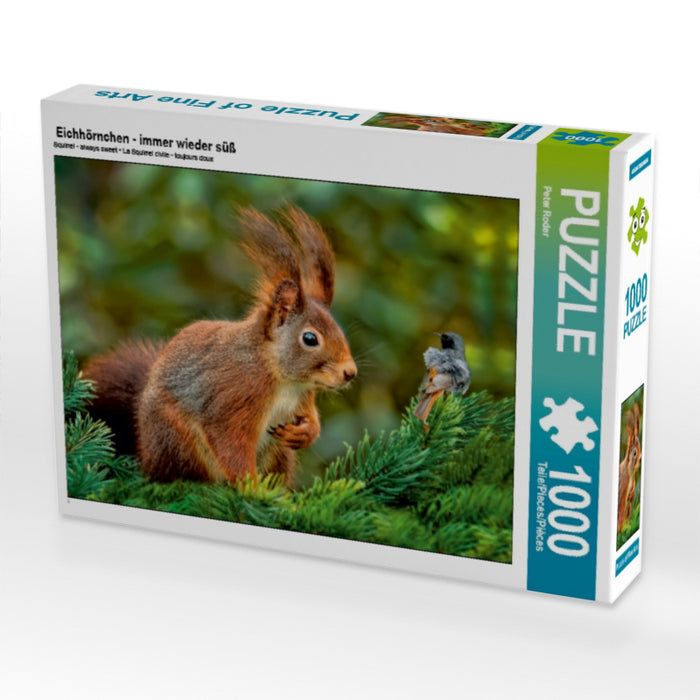 Eichhörnchen - immer wieder süß - CALVENDO Foto-Puzzle - calvendoverlag 29.99