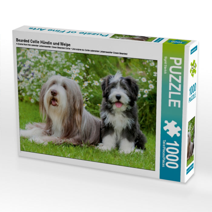 Bearded Collie Hündin und Welpe - CALVENDO Foto-Puzzle - calvendoverlag 29.99