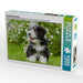 Bearded Collie Welpe - CALVENDO Foto-Puzzle - calvendoverlag 29.99