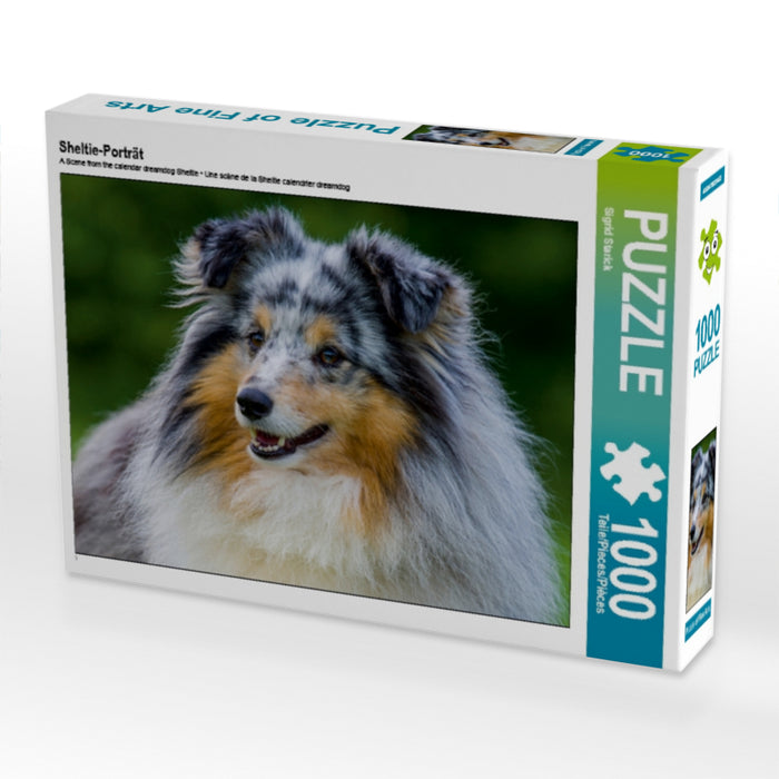 Sheltie-Porträt - CALVENDO Foto-Puzzle - calvendoverlag 29.99