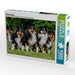 Sheltie-Gruppe - CALVENDO Foto-Puzzle - calvendoverlag 29.99