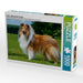 Collie - Mein bester Freund - CALVENDO Foto-Puzzle - calvendoverlag 29.99