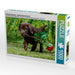 Labrador Retriever - Kleiner Rosenkavalier - CALVENDO Foto-Puzzle - calvendoverlag 29.99