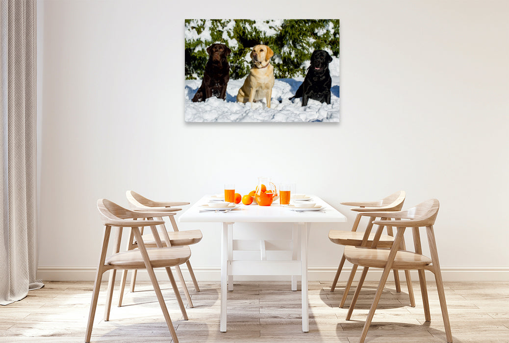 Premium Textil-Leinwand Premium Textil-Leinwand 120 cm x 80 cm quer Labrador Retriever - Freunde für´s Leben