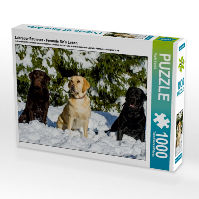 Labrador Retriever - Freunde für´s Leben - CALVENDO Foto-Puzzle - calvendoverlag 29.99