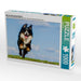 Berner Sennenhund Merlin - CALVENDO Foto-Puzzle - calvendoverlag 29.99