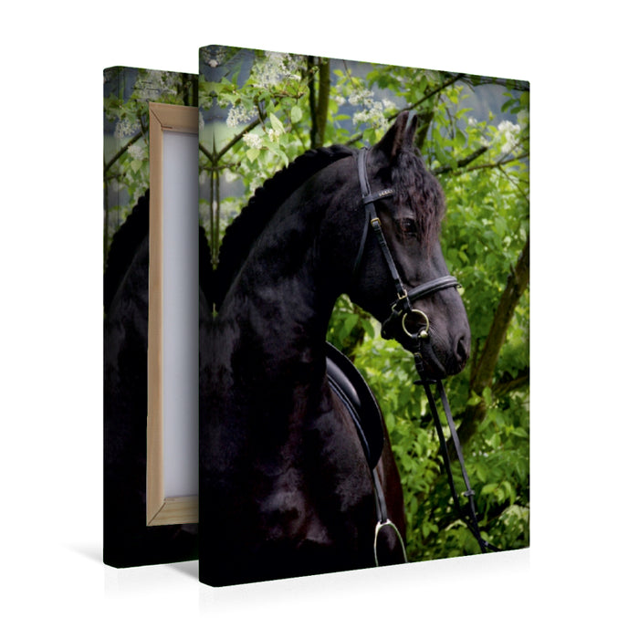 Premium Textil-Leinwand Premium Textil-Leinwand 30 cm x 45 cm hoch Ein Motiv aus dem Kalender Pferde ... fliegen ohne Flügel