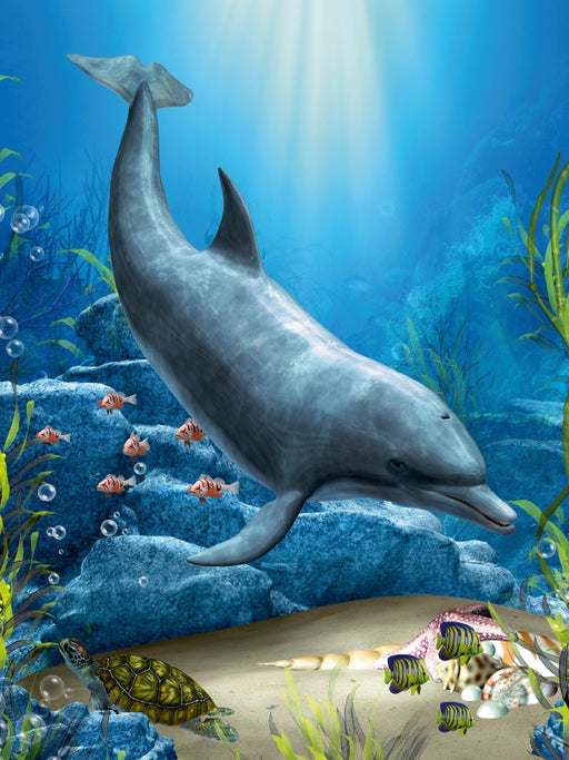 Die Welt der Delfine - CALVENDO Foto-Puzzle - calvendoverlag 29.99