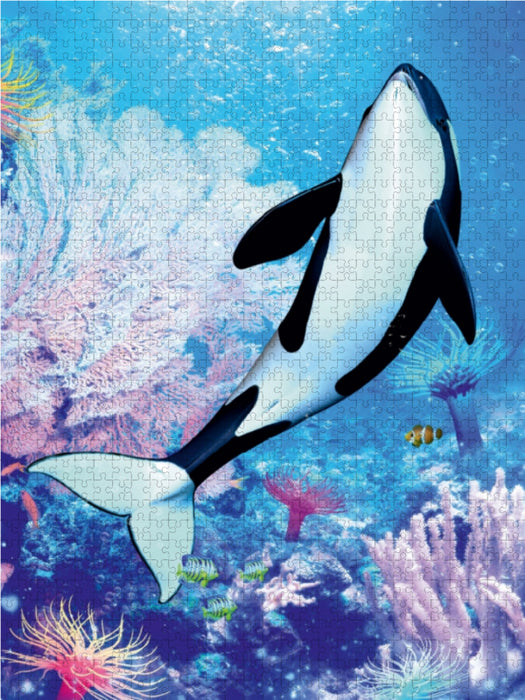 Orka 3 - CALVENDO Foto-Puzzle - calvendoverlag 29.99