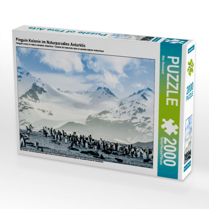 Pinguin Kolonie im Naturparadies Antarktis - CALVENDO Foto-Puzzle - calvendoverlag 29.99