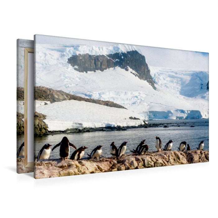 Premium Textil-Leinwand Premium Textil-Leinwand 120 cm x 80 cm quer Pinguin Kolonie im Naturparadies Antarktis