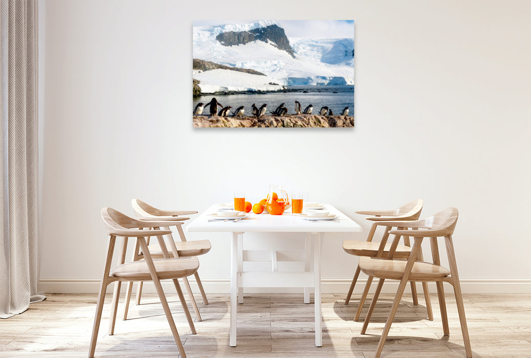 Toile textile premium Toile textile premium 120 cm x 80 cm paysage Colonie de pingouins dans le paradis naturel de l'Antarctique 