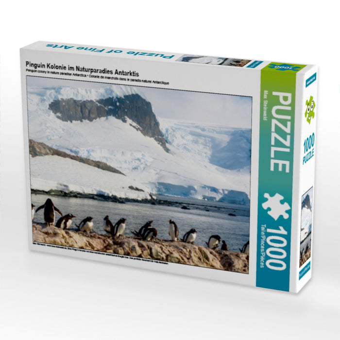 Pinguin Kolonie im Naturparadies Antarktis - CALVENDO Foto-Puzzle - calvendoverlag 29.99