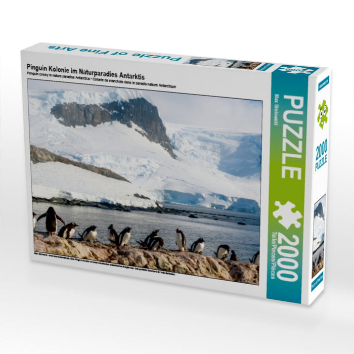 Pinguin Kolonie im Naturparadies Antarktis - CALVENDO Foto-Puzzle - calvendoverlag 29.99