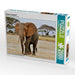 Elefant in Amboseli - CALVENDO Foto-Puzzle - calvendoverlag 39.99