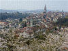 Berner Altstadt vom Rosengarten aus - CALVENDO Foto-Puzzle - calvendoverlag 30.99