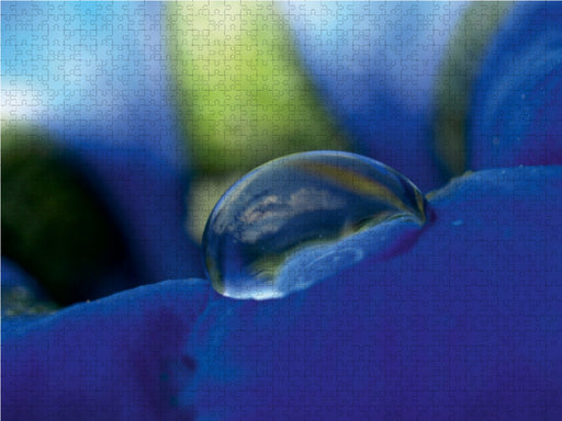 Kleine Welt im Wassertropfen - CALVENDO Foto-Puzzle - calvendoverlag 39.99