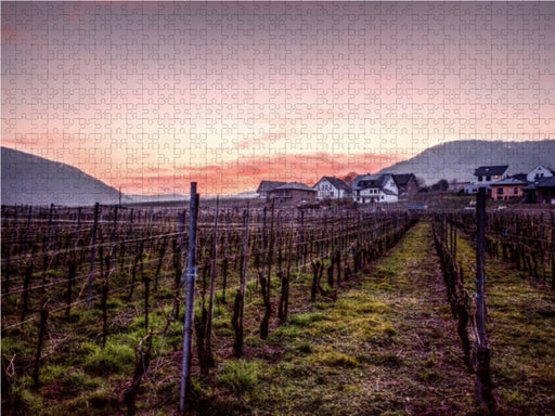 Weinberg bei Beilstein - CALVENDO Foto-Puzzle - calvendoverlag 39.99