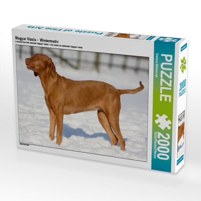 Magyar Vizsla -  Wintermotiv - CALVENDO Foto-Puzzle - calvendoverlag 29.99